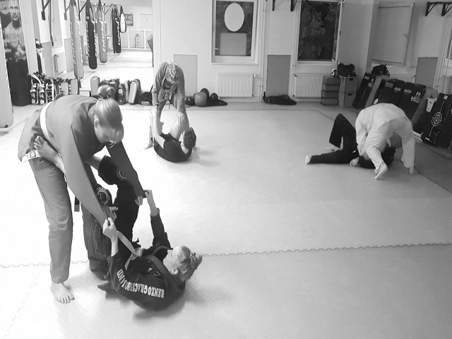 Brazilian Jiu Jitsu